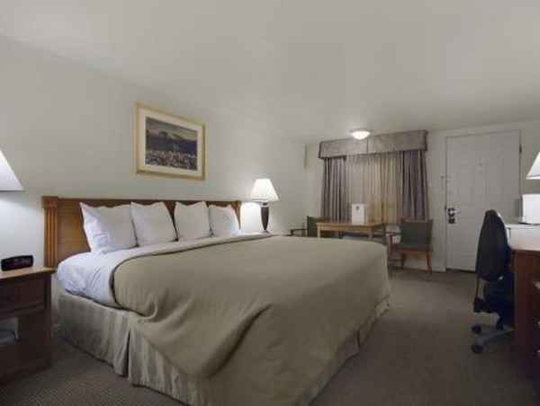 1 King Bed Non Smoking Photo 1